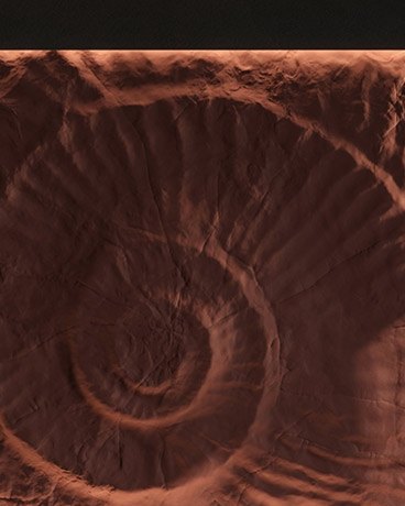 Bas-relief SNAIL TRAIL, module en plâtre, motif animalier